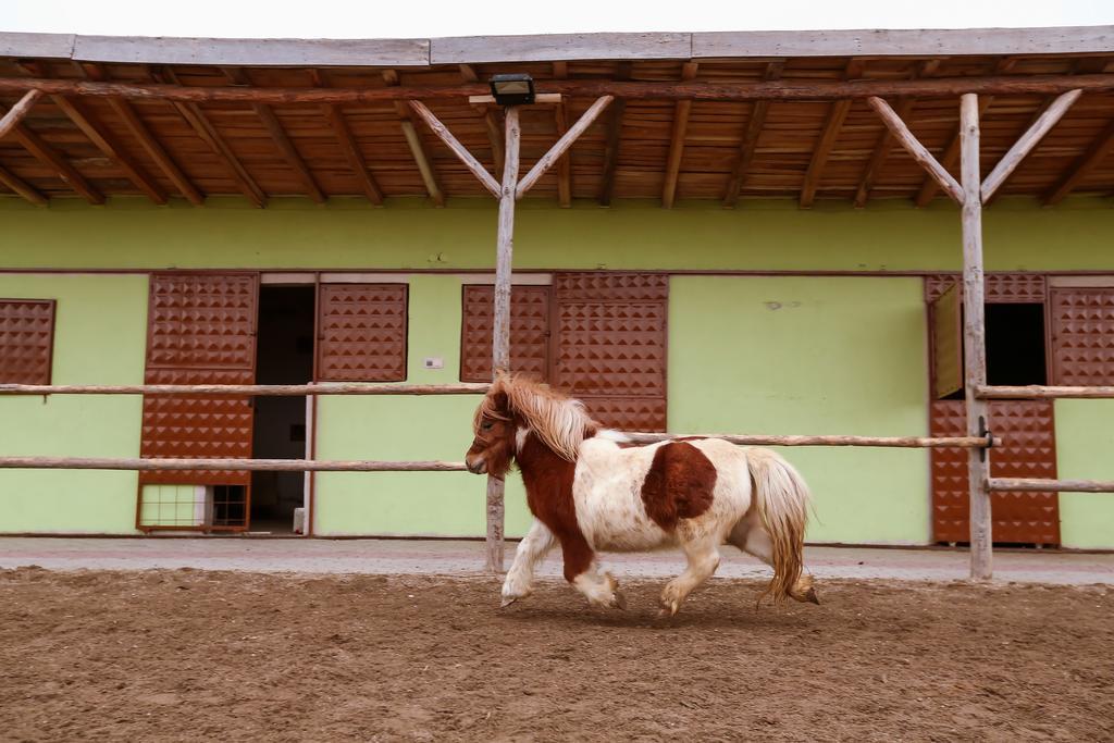Afyon Can Termal Apart Афьон Экстерьер фото